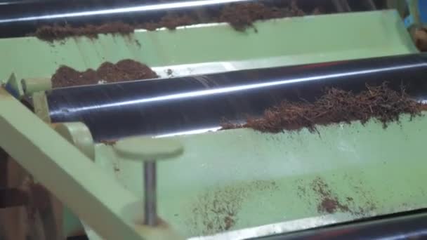 Fekete tea kézműves gép részletek forgatni barna levelek — Stock videók