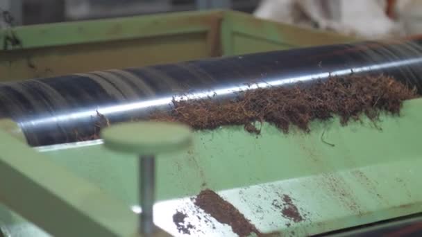 Detalles de la máquina de té negro giran hojas marrones — Vídeo de stock