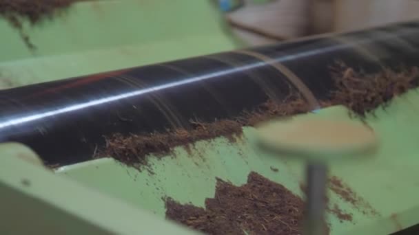 Bruna blad faller i vit påse från gröna hantverk maskin — Stockvideo