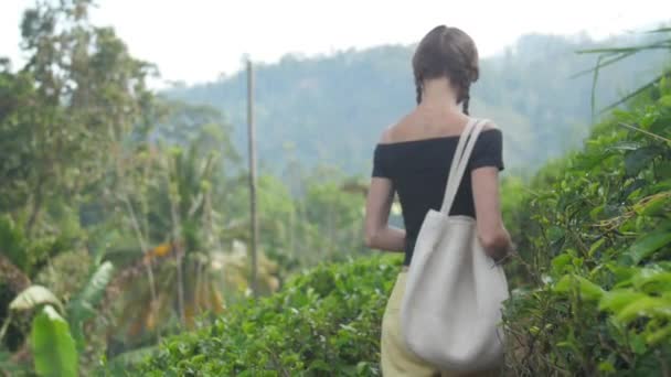 Mujer joven con bolsa camina a lo largo del camino y huele la hoja de té — Vídeo de stock