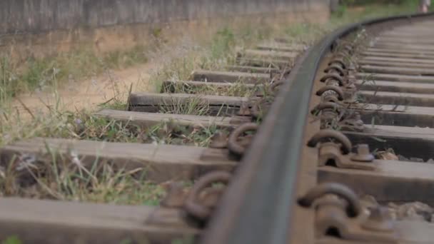 Oude metalen baan op bruine houten dwarsliggers met groen gras — Stockvideo