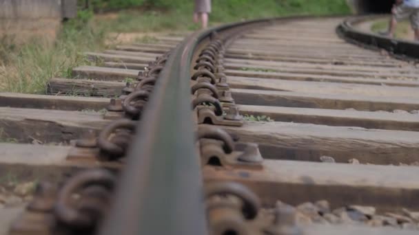 青草棕木枕木上的旧铁轨 — 图库视频影像
