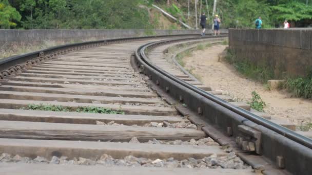 Pista de metal viejo en traviesas de madera marrón con hierba verde — Vídeos de Stock