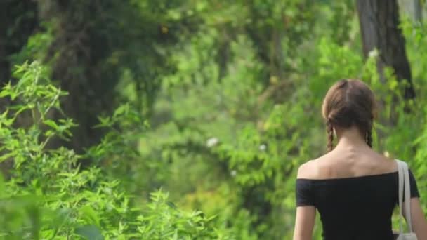Dame wandert an sonnigem Tag durch grüne Waldlandschaft — Stockvideo