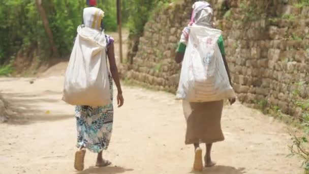 Місцеві жителі ходять по коричневій наземній дорозі, тримаючи сумки — стокове відео