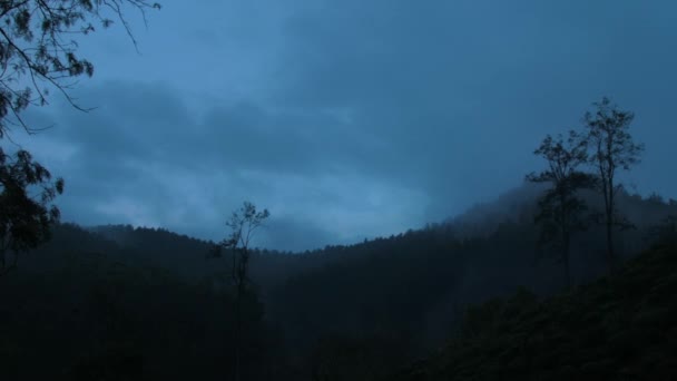 Fumaça cinza pitoresca sobe sobre colinas com florestas densas — Vídeo de Stock