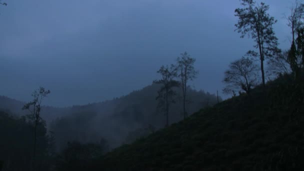 Malerischer grauer Rauch steigt über Hügeln mit dichten Wäldern auf — Stockvideo