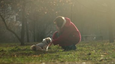 young woman plays with funny shitzu dog in brown jacket
