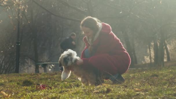 Молода жінка бере сіру куртку від активного собаки лабзу — стокове відео