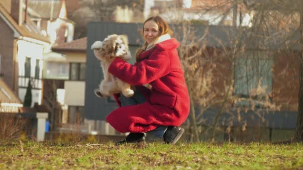 woman in woolen coat pets funny shitzu puppy in sunny park