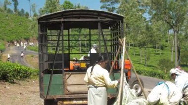 Kadın, elinde defter tutarak çay yapraklarını kontrol ediyor.