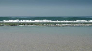 Yeşil yosunlu ve büyük dalgalı deniz kıyısı