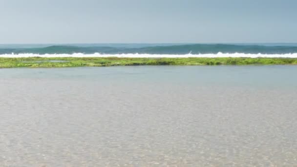 Côte Mer Avec Mousse Verte Grandes Vagues — Video