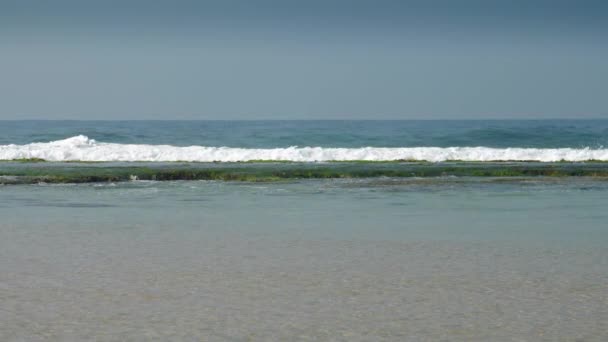 緑の苔と大きな波と海の海岸 — ストック動画