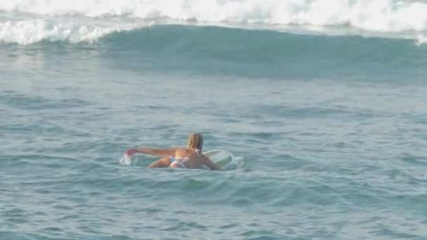 European Girl Surfing Sea Waves — Stock Video