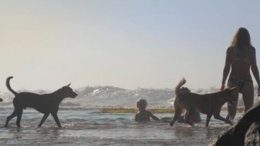 Anne, baba ve kızın ailesi deniz kıyısında köpeklerle oynuyor.