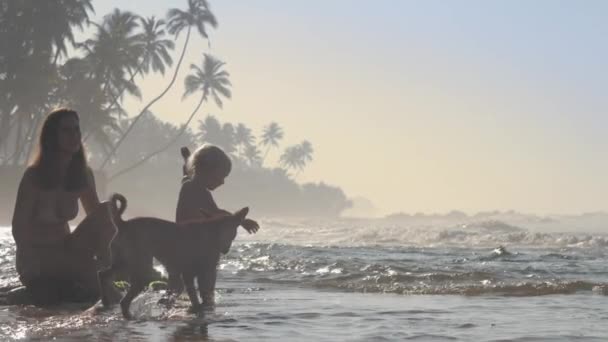 妈妈和女儿在海滨与狗玩耍 — 图库视频影像