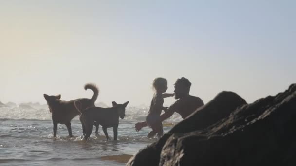 Père Fille Jouant Avec Des Chiens Sur Côte Mer — Video