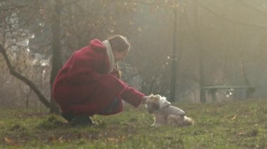 Uzun saçlı bayan evcil hayvanlar parkta yeşil çayır üzerinde oynak bir köpek