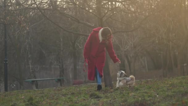 Дівчина гуляє вздовж паркового лугу і щеня біжить за власником — стокове відео