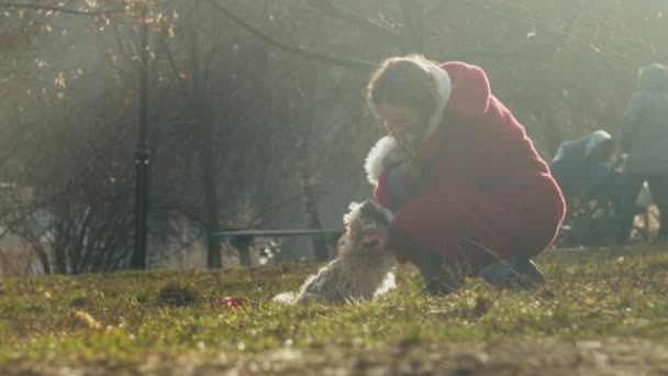 Smiling blonde in red coat pets fuzzy dog on fallen leaves — Stock Video