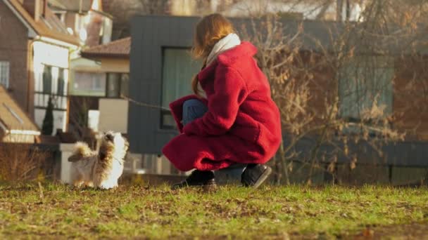 Blondine im Mantel spielt mit verschwommenem Shitzu-Hund mit Ast — Stockvideo