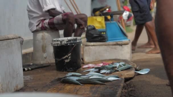 Ντόπιοι χύνουν ψάρια που αλιεύονται στον ωκεανό πάνω σε ξύλινη σανίδα στην αγορά — Αρχείο Βίντεο