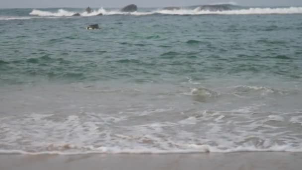 Persona en las velas de tabla de surf en el océano tormentoso con ganas de hacer deporte acuático contra grandes piedras distantes cámara lenta — Vídeos de Stock