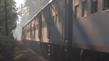 Eski tren, turistleri yavaş çekimde taşıyan tropikal manzaralar arasında demiryolu boyunca ilerliyor. Göçmen taşıma konsepti