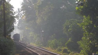 Eski tren, turistleri yavaş çekimde taşıyan tropikal manzaralar arasında demiryolu boyunca ilerliyor. Göçmen taşıma konsepti