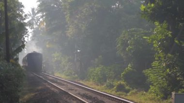 Eski tren, turistleri yavaş çekimde taşıyan tropikal manzaralar arasında demiryolu boyunca ilerliyor. Göçmen taşıma konsepti