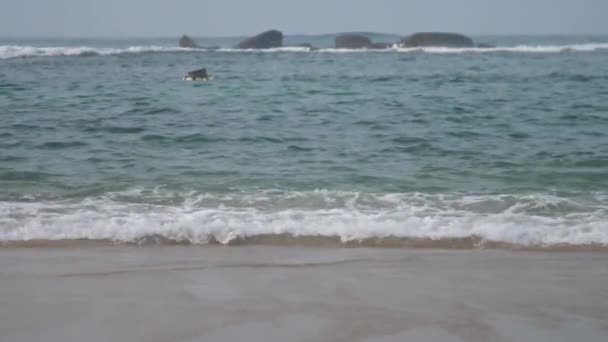 Persoon op surfplank zeilen in stormachtige oceaan willen doen watersport tegen grote verre stenen slow motion — Stockvideo