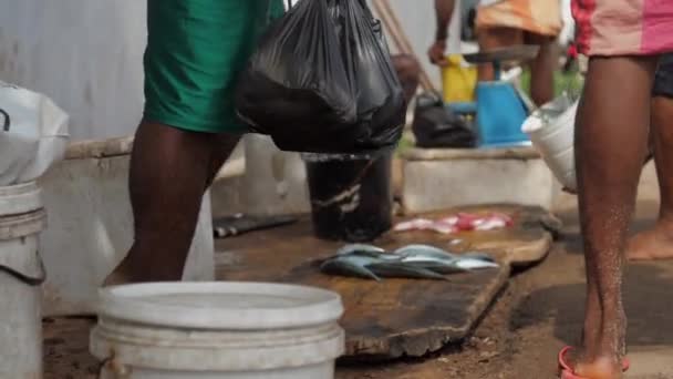Местные жители высыпают рыбу, пойманную в океане, на деревянную доску на рынке — стоковое видео