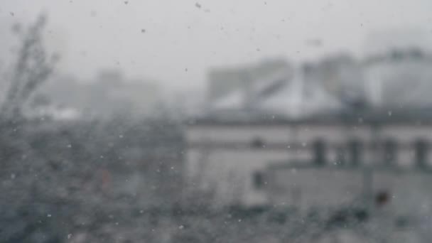 Stora snöflingor faller gryning på stadens gata slow motion — Stockvideo