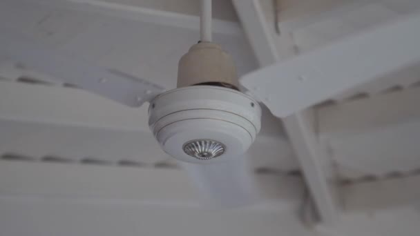 White paddles of small conditioner rotate under ceiling — Stock Video
