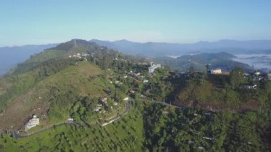 yeşil ağaç çiftlikleri ve uzun asfalt dağ yılanı