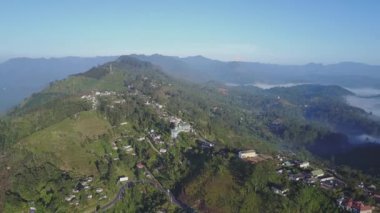 yeşil ağaç çiftlikleri ve uzun asfalt dağ yılanı