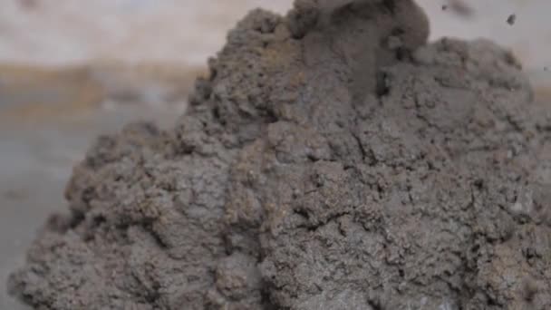 Construction worker mixes wet grey cement holding shovel — Stock Video