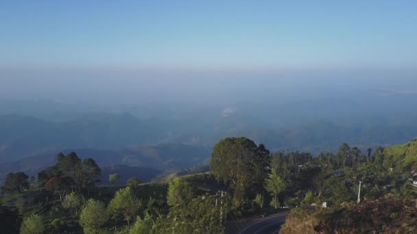 霧の中の斜面に緑の木々が茂る茶畑 — ストック動画