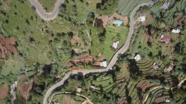 Yeşil tarlalı dağlık arazi. Küçük evler ve yılan yuvası.