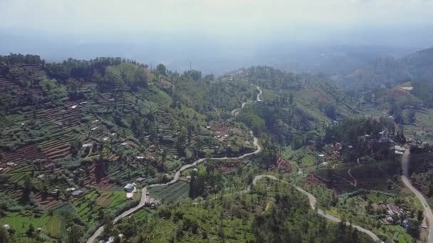 Hautes terres avec plantations verdoyantes petites maisons et serpentine — Video
