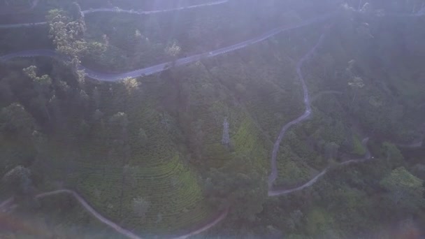 Ορεινή περιοχή με φυτείες τσαγιού κατά του βουνού στην ομίχλη — Αρχείο Βίντεο