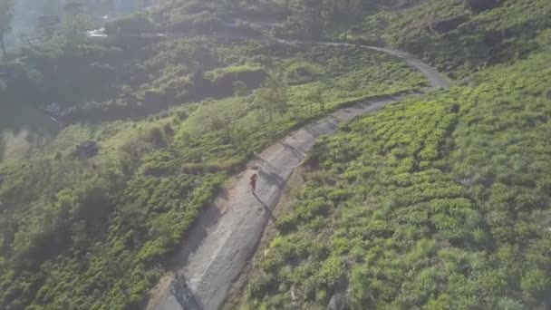 Plantaciones de té verde y hombre local corriendo a lo largo de serpentina — Vídeo de stock