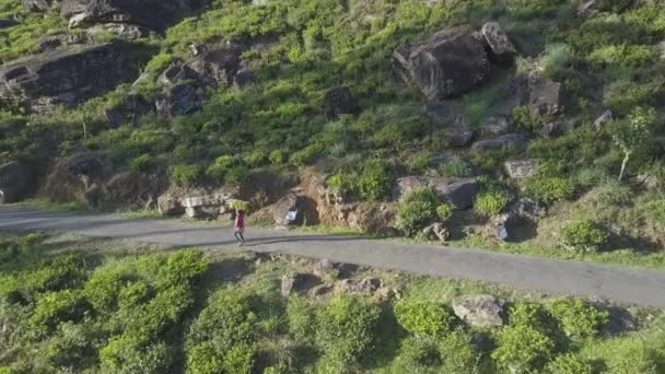 Plantations de thé vert et homme local courant le long de la serpentine — Video