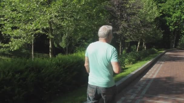 Homem caminha ao longo beco desfrutando de plantas verdes no parque da primavera — Vídeo de Stock