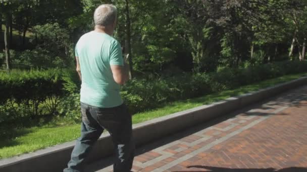 Homme promenades le long de ruelle profiter des plantes vertes dans le parc de printemps — Video