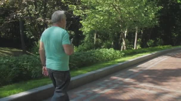 Uomo passeggiate lungo il vicolo godendo di piante verdi nel parco primaverile — Video Stock