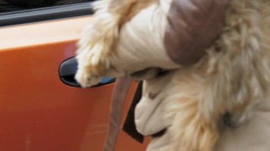 Kırmızı kapıyı açan kişi küçük köpeği elinde tutuyor.