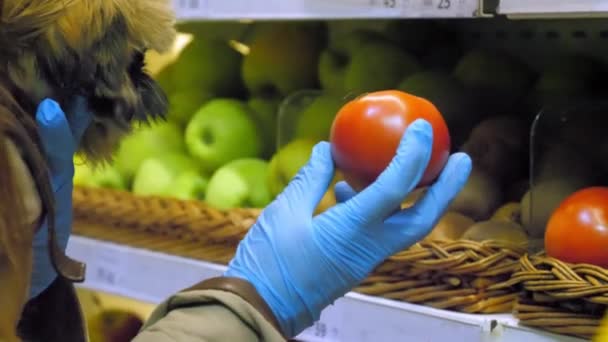 Mulher em luvas estéreis escolhe tomate segurando cão — Vídeo de Stock