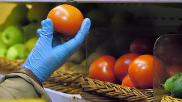 Mulher em luvas estéreis escolhe tomate segurando cão — Vídeo de Stock